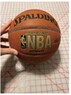 Spalding Basketball for sale at sportweb.club